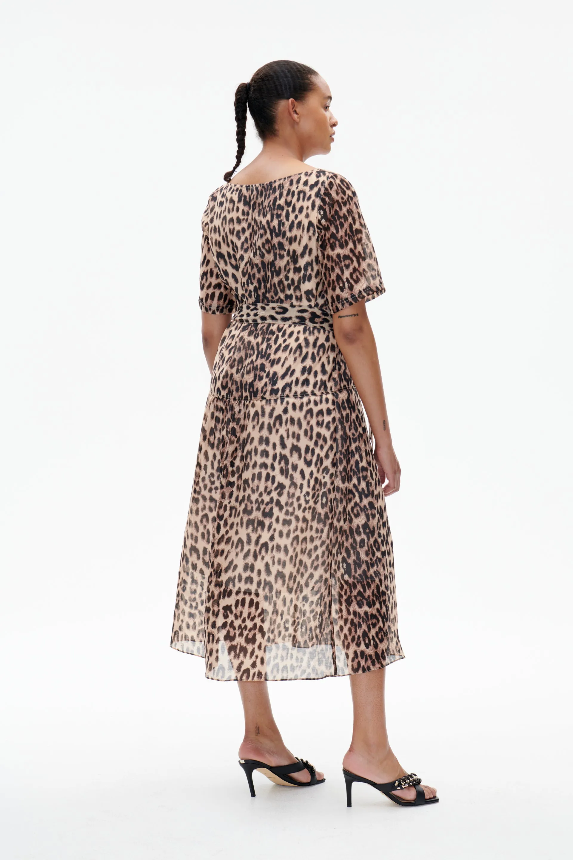 ABNA | Brown Baum Leopard