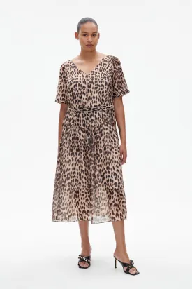 ABNA | Brown Baum Leopard