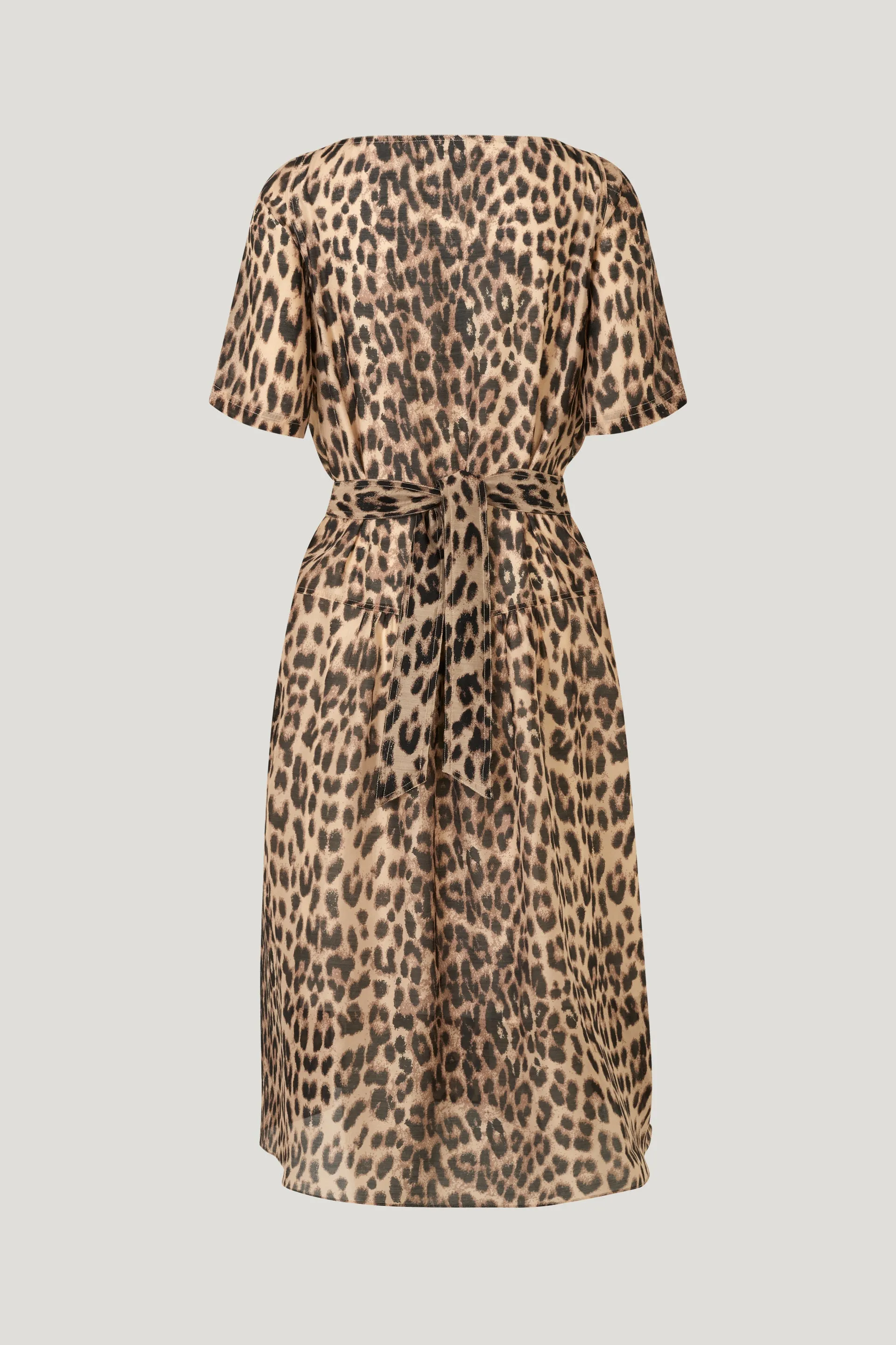 ABNA | Brown Baum Leopard