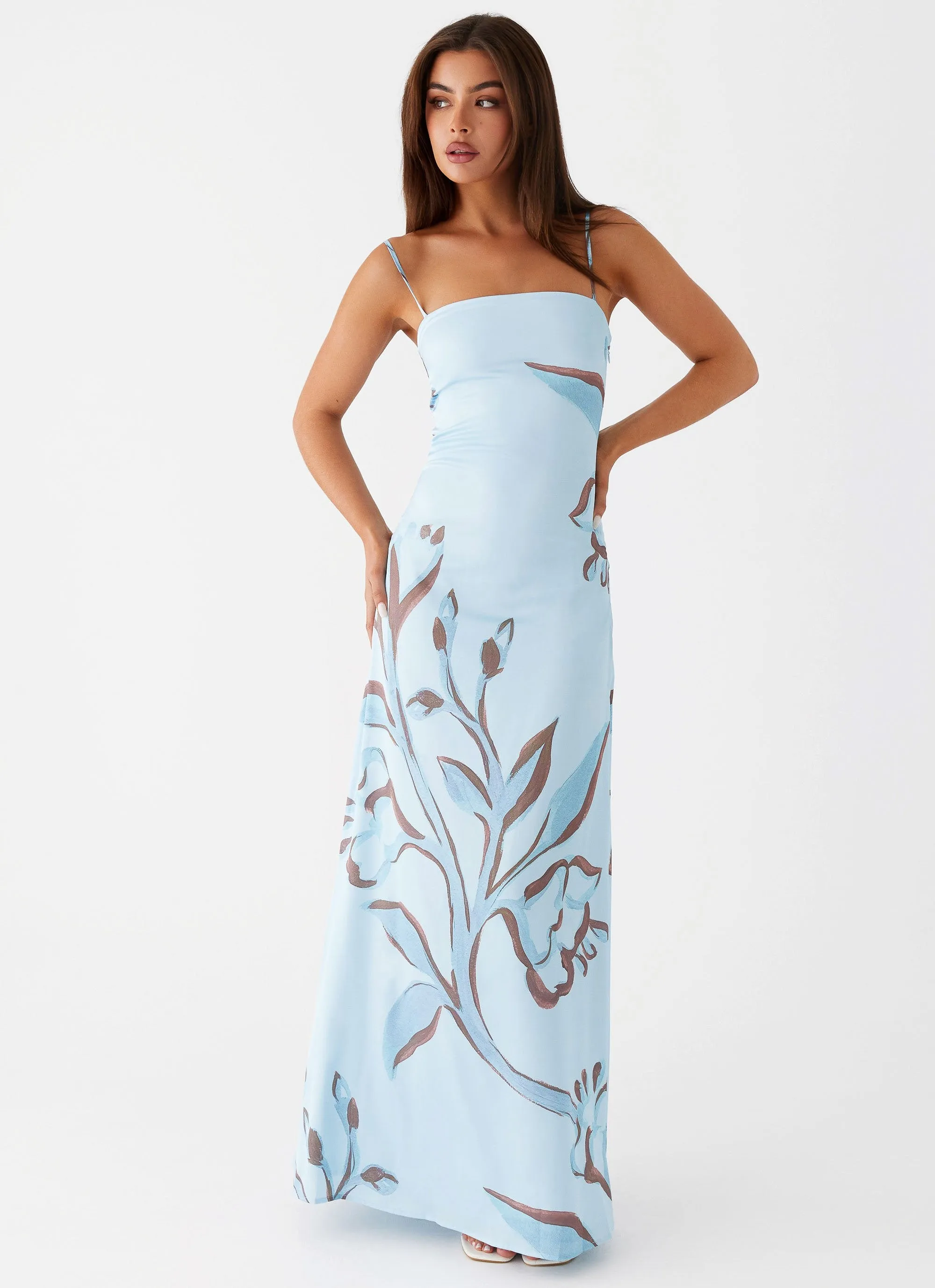 Aster Bloom Maxi Dress - Blue Floral