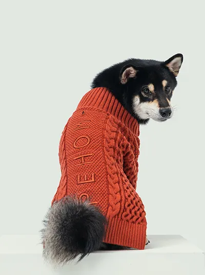 BERT CARDIGAN SWEATER - ORANGE