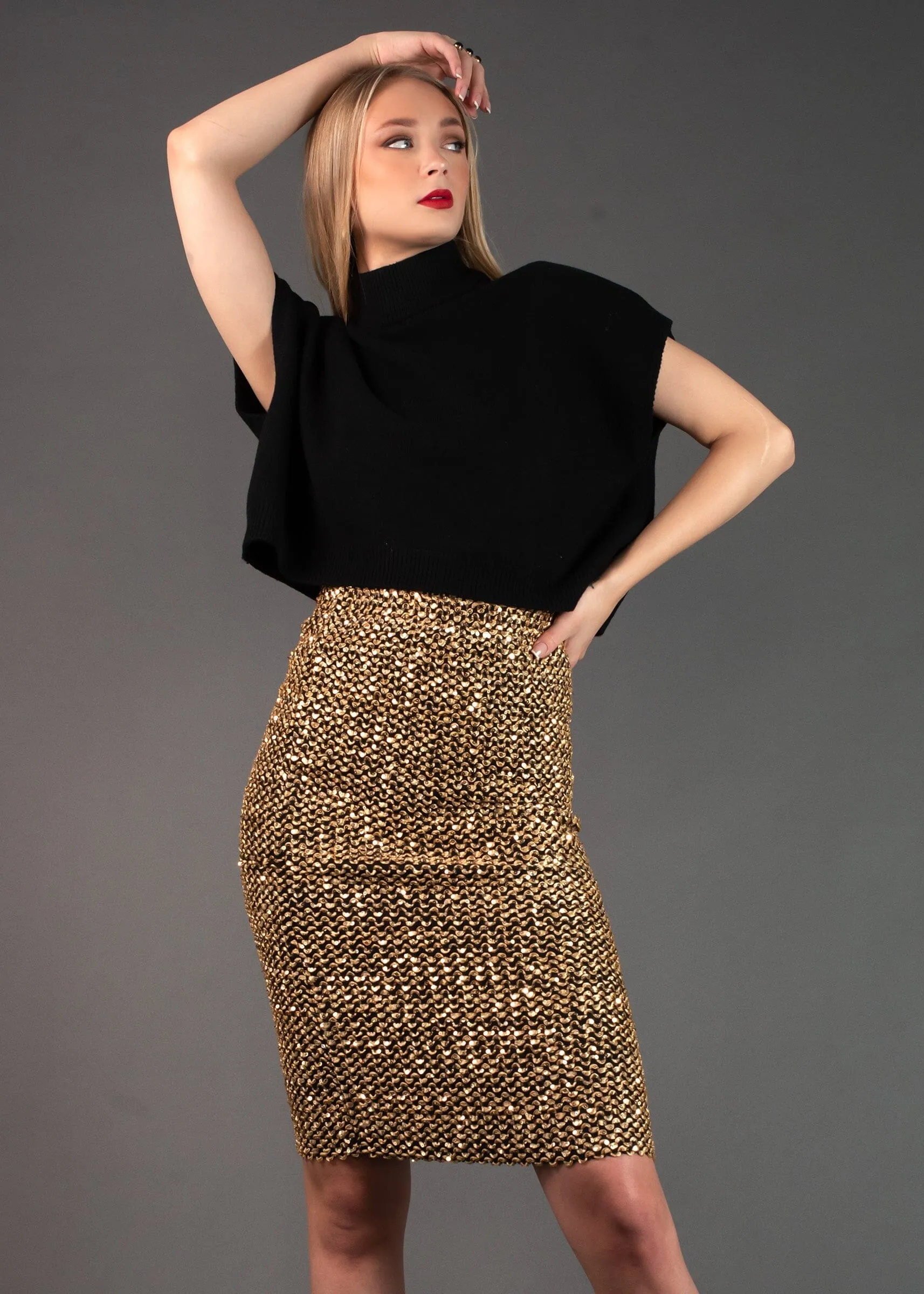 Sequin Embellished Pencil Skirt