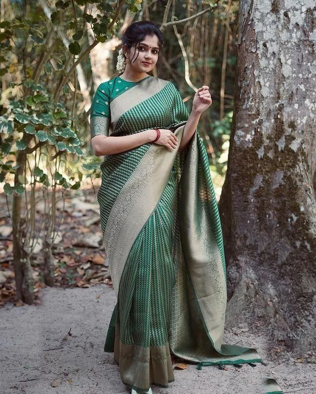 Women's Wedding Special Jacquard Saree